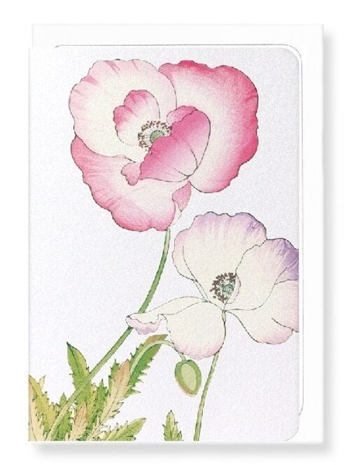 PINK AND PURPLE POPPY Greeting Card