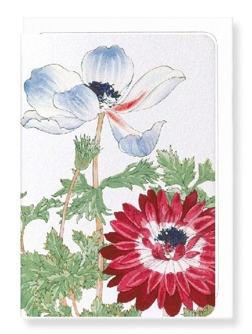 BLUE AND RED ANEMONE Greeting Card
