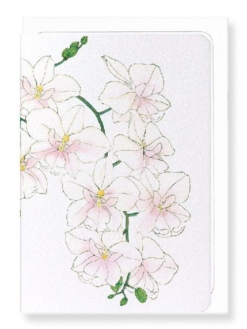 ORCHID Greeting Card