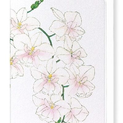 Orchideen-Grußkarte