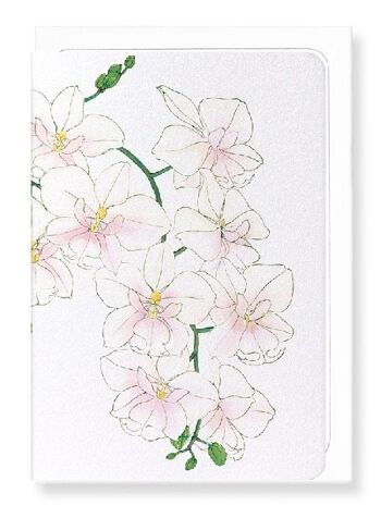 ORCHIDÉE Carte de vœux 1