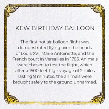 BALLON D'ANNIVERSAIRE KEW Carte de vœux 3