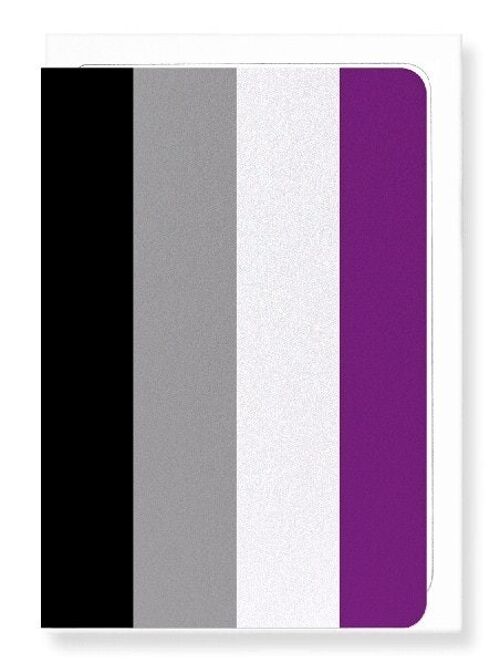 ASEXUAL PRIDE FLAG Greeting Card