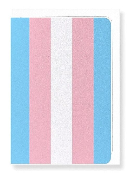 TRANSGENDER PRIDE FLAG Greeting Card