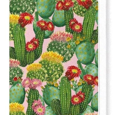 Cartolina d'auguri di cactus colorati