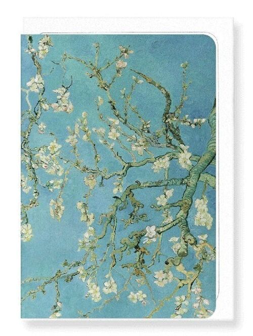 BLOSSOMING ALMOND TREE BY VAN GOGH Greeting Card