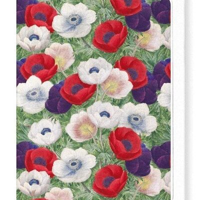 ANEMONE FLOWERS Greeting Card