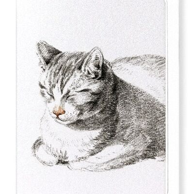 LYING CAT DIAGONALLY 1808  Greeting Card