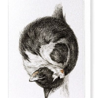 CURLED UP SLEEPING CAT 1825  Greeting Card