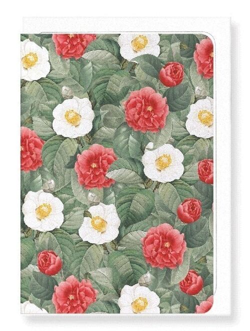CAMELLIA JAPONICA Greeting Card