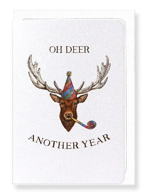OH DEER ANOTHER YEAR  Greeting Card