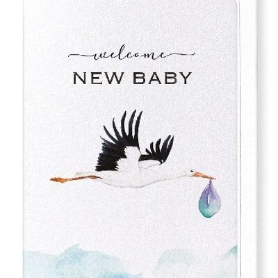 STORK AND BABY Greeting Card