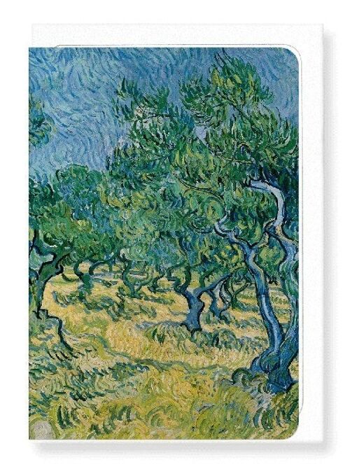 OLIVE GROVE 1889  Greeting Card