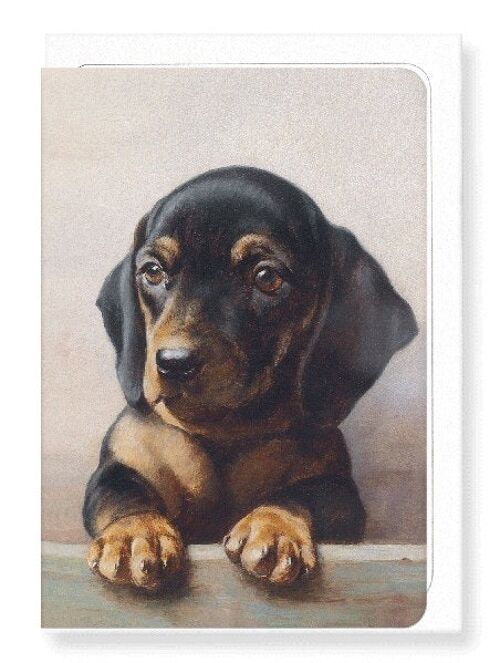 YOUNG DACHSHUND Greeting Card