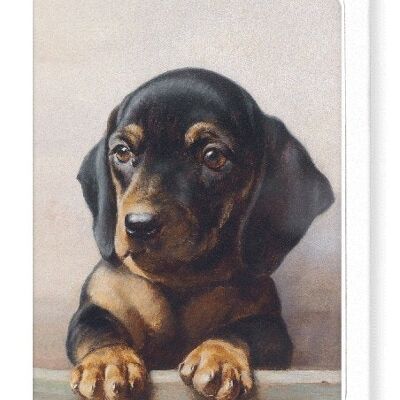 YOUNG DACHSHUND Greeting Card