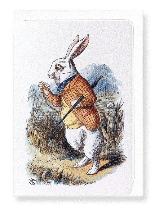 WHITE RABBIT 1865  Greeting Card