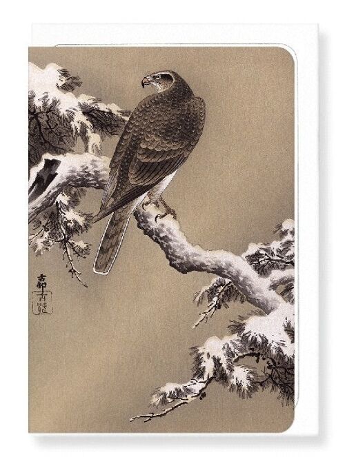 EAGLE AND PINE TREE Japanese Greeting Card