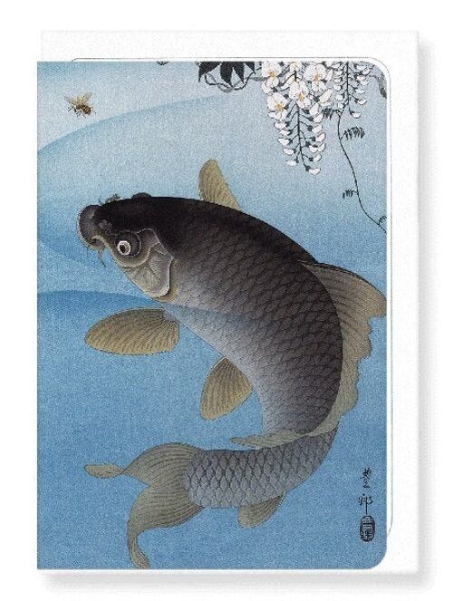 CARP AND WISTERIA Japanese Greeting Card