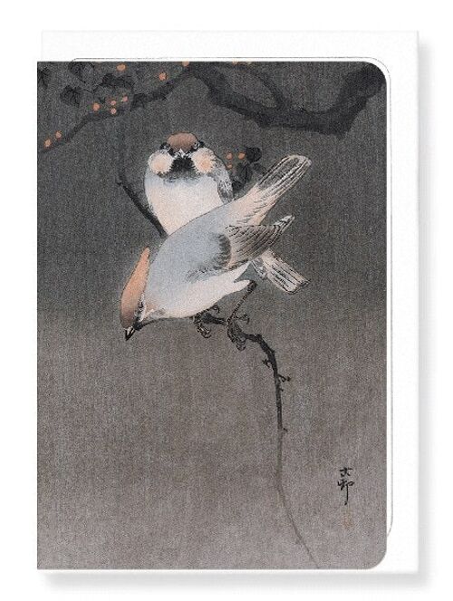 WAXWING BIRDS Japanese Greeting Card