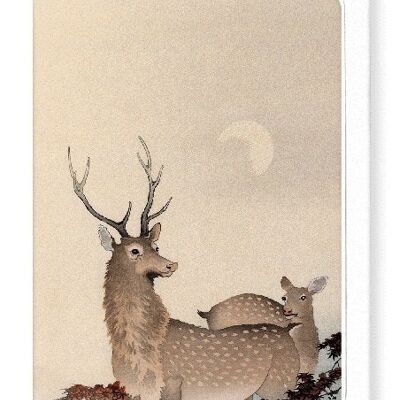 TWO DEER AND MAPLE Japanese Greeting Card