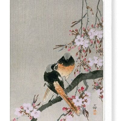 REDSTARTS AND CHERRY Japanese Greeting Card