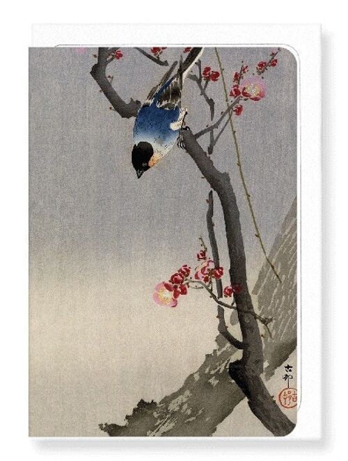 BULLFINCH BIRD Japanese Greeting Card