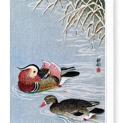 CANARD MANDARIN japonais Carte de vœux