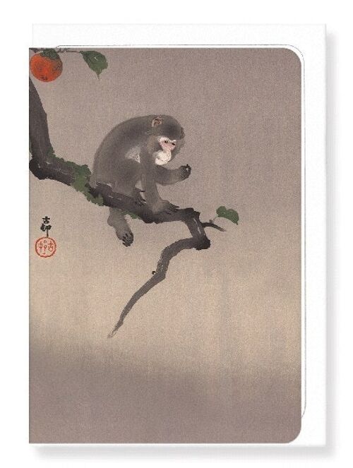 MONKEY AND PERSIMMON FRUIT Japanese Greeting Card