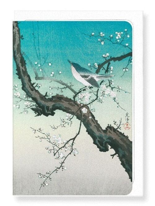BUSH WARBLER AND PLUM BLOSSOMS Japanese Greeting Card