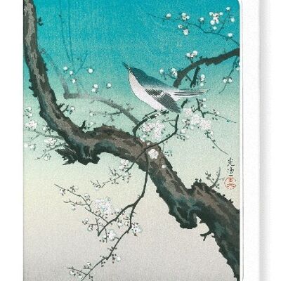 BUSH WARBLER AND PLUM BLOSSOMS Japanese Greeting Card