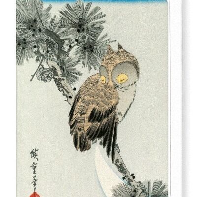 OWL Japanese Greeting Card