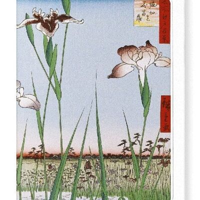 HORIKIRI IRIS GARDEN Japanese Greeting Card