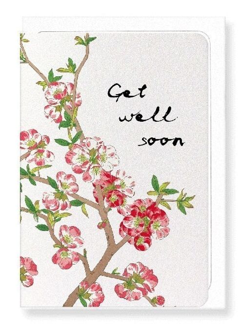 GET WELL SOON QUINCE FLOWERS Japanese Greeting Card