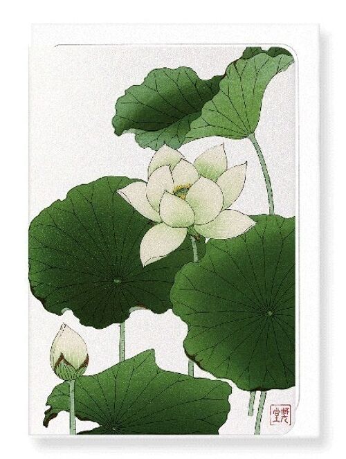 LOTUS FLOWER Japanese Greeting Card