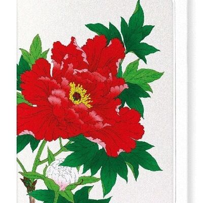 RED PEONY Japanese Greeting Card