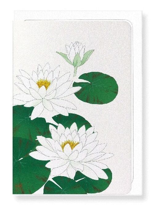 WHITE WATERLILY Japanese Greeting Card