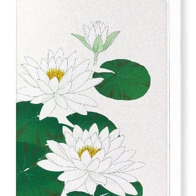 nénuphar blanc japonais Carte de vœux