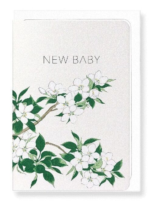 NEW BABY APPLE BLOSSOMS Japanese Greeting Card