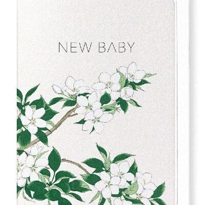 NEW BABY APPLE BLOSSOMS Japanese Greeting Card