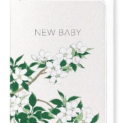 NEW BABY APPLE BLOSSOMS Japanese Greeting Card