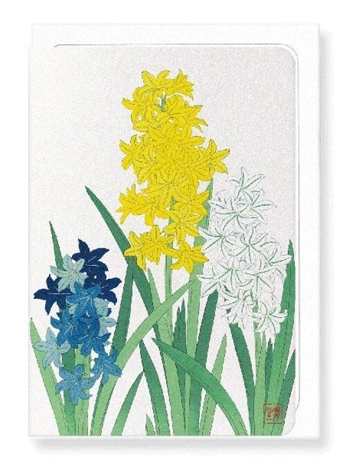 HYACINTHS Japanese Greeting Card