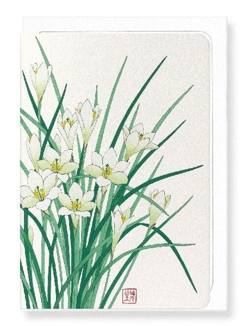 ZEPHYR LILY Japanese Greeting Card