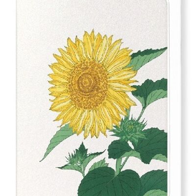 GIRASOL Japonés Tarjetas de felicitación