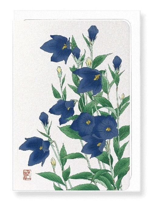 BLUEBELL FLOWER Japanese Greeting Card