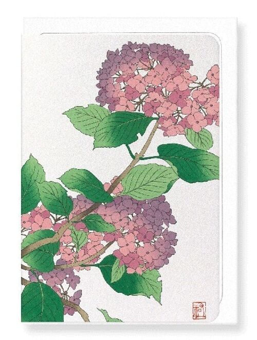 HYDRANGEA Japanese Greeting Card