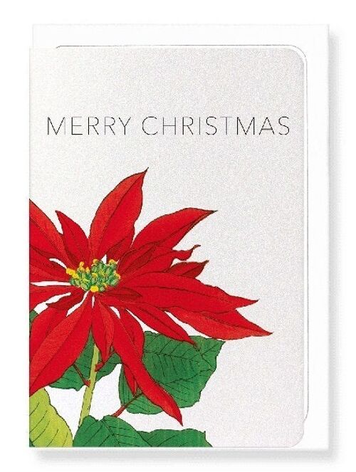 CHRISTMAS POINSETTIA  Japanese Greeting Card