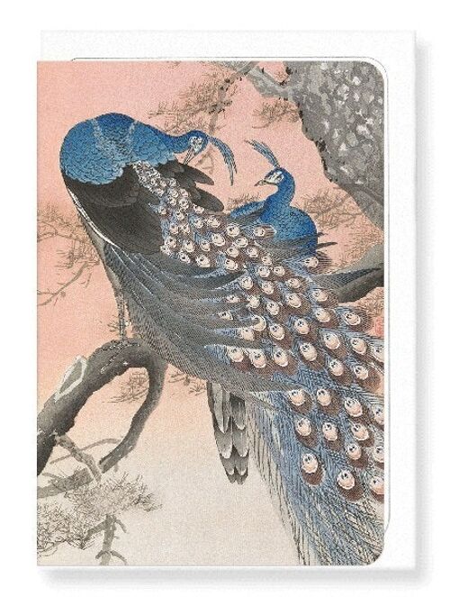 COUPLE OF PEACOCKS Japanese Greeting Card