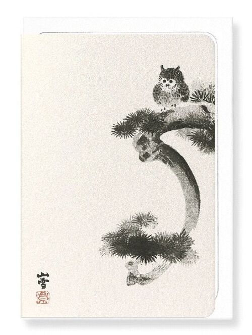 OWL ON PINE TREE Japanese Greeting Card