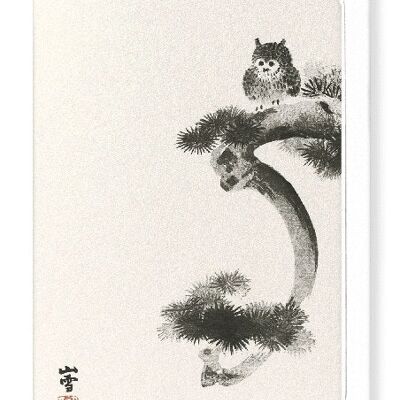 OWL ON PINE TREE Japanese Greeting Card