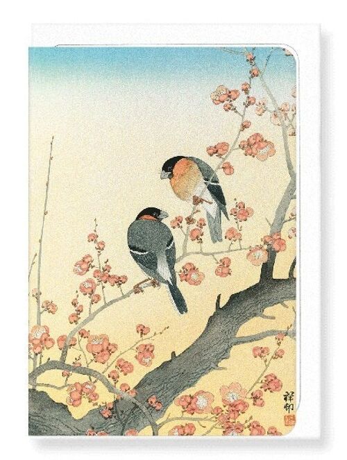 BULLFINCHES ON FLOWERING PLUM TREE Japanese Greeting Card